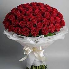 Букет 101 Красная роза Блэк Мэджик в Бесскорбной