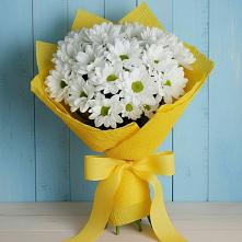Букет цветов из:  Хризантемы в Бесскорбной