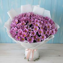 Букет цветов из:  Хризантемы в Бесскорбной