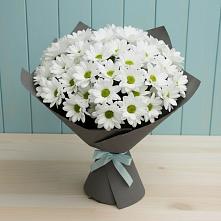 Букет цветов из:  Хризантемы в Бесскорбной