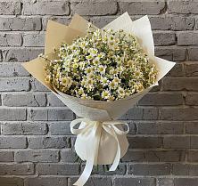 Букет цветов из:  Ромашки в Бесскорбной