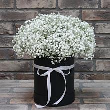 Цветочная композиция из Гипсофила в шляпной коробке в Бесскорбной