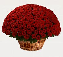 Премиум букет из: Розы в Бесскорбной